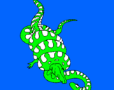 Dibuix Anaconda i caiman pintat per lluc maymo