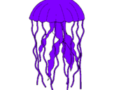 Dibuix Medusa pintat per meduseta