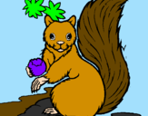 Dibuix Esquirol pintat per NIL I ORIOL