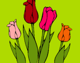 Dibuix Tulipes pintat per aina s