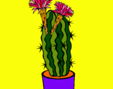 Dibuix Cactus amb flors pintat per maria