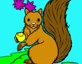Dibuix Esquirol pintat per marta sert