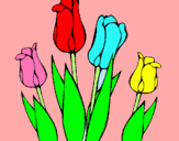 Dibuix Tulipes pintat per Carla
