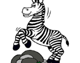 Dibuix Zebra saltant pedres pintat per san