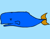 Dibuix Balena blava pintat per aran  i  jana