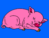 Dibuix Porc dormint pintat per Miley