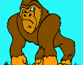 Dibuix Goril·la pintat per saul barragan