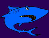 Dibuix Tiburón pintat per DAS