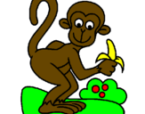 Dibuix Mono pintat per ARNAU