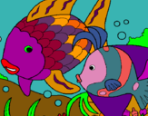 Dibuix Peixos pintat per PEIXETS