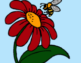 Dibuix Margarida amb abella pintat per nora