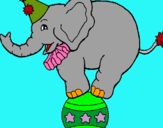 Dibuix Elefant sobre una pilota pintat per anna
