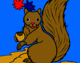 Dibuix Esquirol pintat per AINA