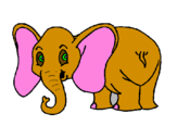 Dibuix Elefant petit pintat per ANNA