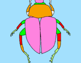 Dibuix Escarabat pintat per ARNAU