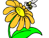 Dibuix Margarida amb abella pintat per neus tort boltà