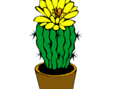 Dibuix Cactus amb flor pintat per Molina