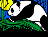 Dibuix Ós panda menjant pintat per luis