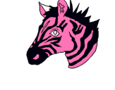 Dibuix Zebra II pintat per jordi muñoz