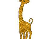 Dibuix Girafa pintat per David