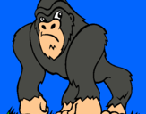 Dibuix Goril·la pintat per txell pardo noguera