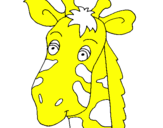 Dibuix Cara de girafa pintat per aina