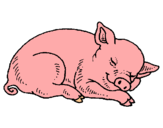 Dibuix Porc dormint pintat per LULU