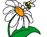 Dibuix Margarida amb abella pintat per jfjf