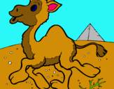 Dibuix Camell pintat per mina