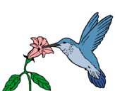 Dibuix Colibrí i una flor  pintat per casal-2