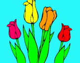 Dibuix Tulipes pintat per asde