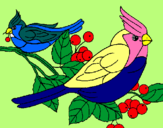 Dibuix Ocells pintat per MARGA
