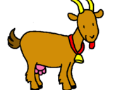 Dibuix Cabra pintat per laura marselles