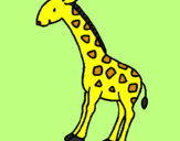 Dibuix Girafa pintat per astrid