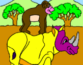 Dibuix Rinoceront i mono pintat per albert caire