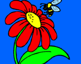 Dibuix Margarida amb abella pintat per Júlia