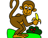 Dibuix Mono pintat per AARON