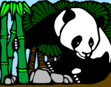 Dibuix Ós Panda i Bambú pintat per clara
