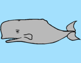 Dibuix Balena blava pintat per david