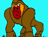 Dibuix Goril·la pintat per ignasi4