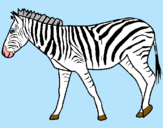 Dibuix Zebra pintat per Julia Nogales