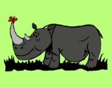 Dibuix Rinoceront i Papallona pintat per sandro   tengobabu