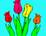 Dibuix Tulipes pintat per Liu