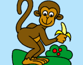 Dibuix Mono pintat per Aleix