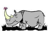 Dibuix Rinoceront i Papallona pintat per Lauri