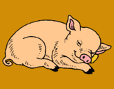 Dibuix Porc dormint pintat per ingrid santana mederos
