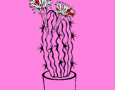 Dibuix Cactus amb flors pintat per bhjnl