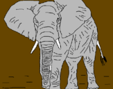 Dibuix Elefant pintat per ALEXRE