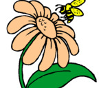 Dibuix Margarida amb abella pintat per MAX