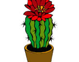 Dibuix Cactus amb flor pintat per olgac
